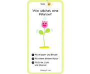 Das Wie Quiz 6