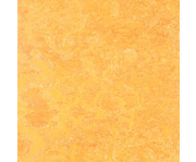 EduCasa Kleines Podest Rechteck 100 x 50 cm 7