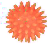 Betzold Igelbälle 5
