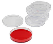 Betzold Petrischalen aus Kunststoff 5 Stück 1