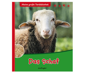 Das Schaf Buch