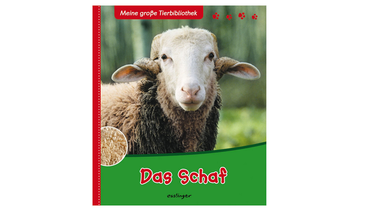 Das Schaf Buch Betzold Ch