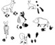 Tierspurenstempel 12 tlg 5