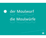 Tiere Sprachförderung mit Bildkarten 3