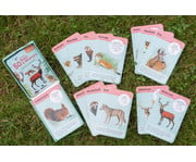 Expedition Natur – 50 heimische Wald & Wildtiere 7