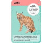 Expedition Natur – 50 heimische Wald & Wildtiere 5