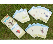 Expedition Natur – 50 heimische Insekten & Spinnen 7