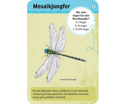 Expedition Natur – 50 heimische Insekten & Spinnen 3