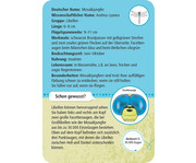 Expedition Natur – 50 heimische Insekten & Spinnen 4