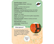 Expedition Natur – 50 heimische Schmetterlinge 4