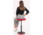 Topstar Hocker Dynamic Board 4