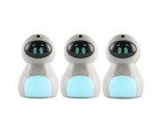 KITT Begleitroboter 1