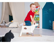 Kleine Reittiere 5