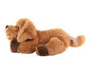 Therapeutische Tiere 4