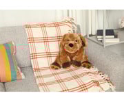 Therapeutische Tiere 6