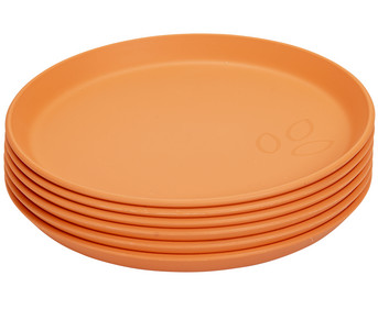Betzold Teller 6er Set