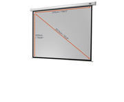 Motorleinwand Economy 6