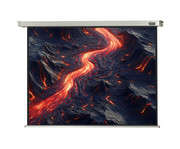 Motorleinwand Professional 5
