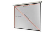 Motorleinwand Professional 4