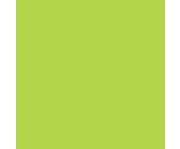 folia Fotokarton 300 g/m² DIN A4 50 Blatt einer Farbe 5