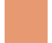 folia Fotokarton 300 g/m² DIN A4 50 Blatt einer Farbe 2