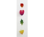 folia Regenbogen Fotokarton 300 g/m² 50 x 70 cm 10 Bogen 4