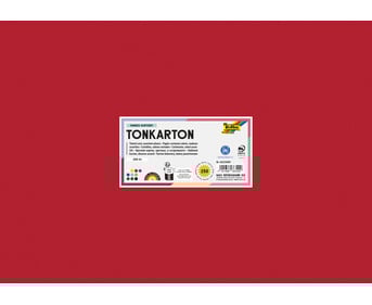 Tonkarton 160 g/m² DIN A3 250 Bogen 10 Farben