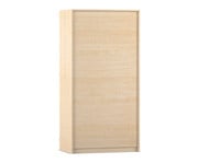 Garagenschrank leer H x B x T: 190 x 94 4 x 60 cm 3
