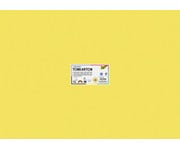folia Tonkarton 220 g/m² 50 x 70 cm 100 Bogen 10 Farben 4