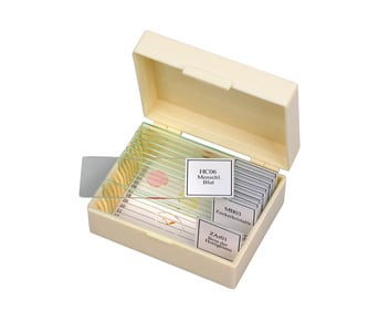 Betzold Präparate Set 1