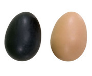Betzold Schüttel Eier 7