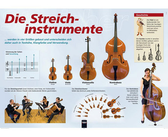 Poster Streichinstrumente