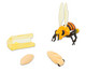 Lebenszyklus Honigbiene 4 Figuren 1