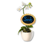 folia Kreidemarker Fresh Colours 5er Set 3