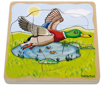 Lagenpuzzle Ente