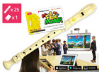 Blockflöten Kiste Flute Master mit barocker Griffweise