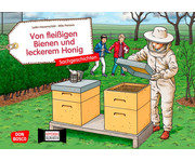 Kamishibai Bildkarten Von fleissigen Bienen und leckerem Honig 1
