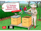 Kamishibai Bildkarten Von fleissigen Bienen und leckerem Honig