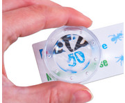 Betzold Mini Lupendosen 50 Stück 5