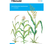 Betzold Themenheft Getreidearten bestimmen 1
