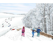 Kamishibai Bildkarten So leben die Tiere im Winter 4