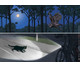 So leben die Tiere in der Nacht Kamishibai-Bildkartenset-3
