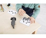 Betzold Tiere zuordnen 3