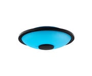 Nino Small Steel Tongue Drum C Stimmung 4