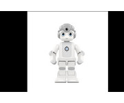 Betzold Alpha Mini Roboter + Jahreslizenz Playbotix 5
