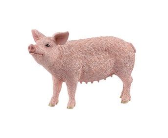 schleich® Schwein