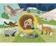 Betzold Kamishibai Bildkarten Der Igel 2