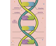 DNA Bausatz 1