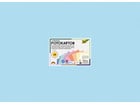Fotokarton Pastell 300 g/m² 50 x 70 cm 100 Bogen 10 Farben