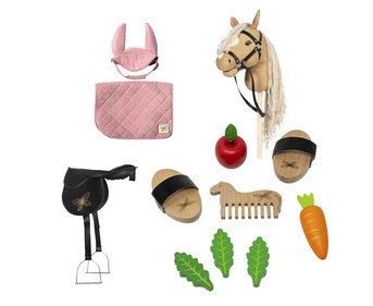 Hobby Horsing Starter Set